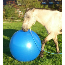 Grote paardenvoetbal 90cm