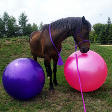 Großer aufblasbarer Pferdefußball